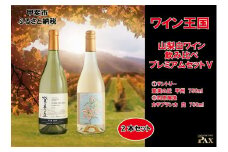 山梨白ワイン飲み比べ　プレミアムセットⅤ　[山梨 ワイン 白ワイン 日本ワイン]