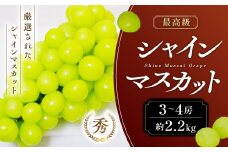 【2025年発送】 最高級 シャインマスカット3～4房 約2.2㎏ 先行予約 先行 予約 山梨県産 産地直送 フルーツ 果物 くだもの ぶどう ブドウ 葡萄 シャイン シャインマスカット 新鮮 人気 おすすめ 国産 贈答 ギフト お取り寄せ 山梨 甲斐市 AN-12
