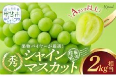 【2025年発送】 シャインマスカット 2.0kg相当 先行予約 先行 予約 人気 おすすめ 国産 贈答 ギフト お取り寄せ 山梨県産 産地直送 フルーツ 果物 くだもの ぶどう ブドウ 葡萄 シャイン シャインマスカット 新鮮 糖度18～20度 山梨県 甲斐市 AD-84