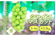 【2025年分発送】 シャインマスカット 3～4房 約2kg 先行予約 先行 予約 山梨県産 産地直送 フルーツ 果物 くだもの ぶどう ブドウ 葡萄 シャイン シャインマスカット 新鮮 人気 おすすめ 国産 贈答 ギフト お取り寄せ 朝どれ 甘い 皮ごと 種なし 山梨 甲斐市 AV-3