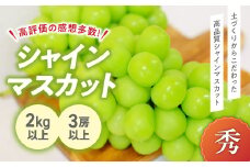 【2025年発送】 高品質 完熟 シャインマスカット 3房以上 2㎏以上 先行予約 先行 予約 山梨県産 産地直送 フルーツ 果物 くだもの ぶどう ブドウ 葡萄 シャイン シャインマスカット 新鮮 人気 おすすめ 国産 贈答 ギフト お取り寄せ 甘い 皮ごと 山梨 甲斐市 BI-2