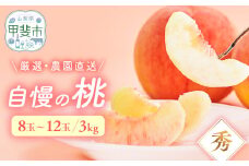 【先行予約2025年/令和7年発送分】桃　3㎏　中箱　[山梨 桃 先行予約]