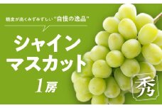 【2025年発送】”自慢の逸品”シャインマスカット 1房 等級 秀 先行予約 先行 予約 山梨県産 産地直送 フルーツ 果物 くだもの ぶどう ブドウ 葡萄 シャイン シャインマスカット 新鮮 人気 おすすめ 国産 贈答 ギフト お取り寄せ 山梨 甲斐市 BH-15
