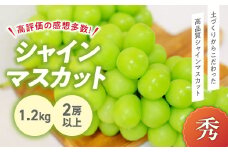 【2025年分発送】 完熟 シャインマスカット 2房以上 1.2kg 先行予約 先行 予約 山梨県産 朝採り 新鮮 土にこだわった シャインマスカット 産地直送 フルーツ 果物 くだもの ぶどう ブドウ 葡萄 シャイン シャインマスカット 新鮮 人気 おすすめ 国産 贈答 ギフト お取り寄せ 甘い 皮ごと 山梨 甲斐市 BI-5