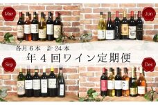 【山梨ワイン】ワイン定期便４回各月飲み比べ２４本セット