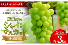【2025年発送】シャインマスカット 3kg 3房～6房 先行予約 先行 予約 山梨県産 国産 産地直送 人気 おすすめ 贈答 ギフト お取り寄せ フルーツ 果物 くだもの ぶどう ブドウ 葡萄 新鮮 甘い 皮ごと 種なし 甲斐市 N-10