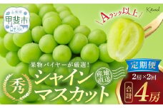 【2025年分発送】 定期便 シャインマスカット 2房 約1.3㎏ 2回 計4房 先行予約 先行 予約 山梨県産 国産 産地直送 人気 おすすめ 贈答 ギフト お取り寄せ フルーツ 果物 くだもの ぶどう ブドウ 葡萄 シャイン シャインマスカット 新鮮 甘い 皮ごと 山梨 甲斐市 AD-247