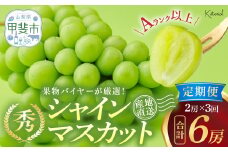 【2025年分発送】定期便 シャインマスカット 2房 約1.3㎏×3回 先行予約 先行 予約 山梨県産 国産 産地直送 人気 おすすめ 贈答 ギフト お取り寄せ フルーツ 果物 くだもの ぶどう ブドウ 葡萄 シャイン シャインマスカット 新鮮 甘い 皮ごと 山梨 甲斐市 AD-248