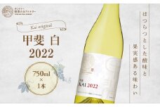 サントリー登美の丘ワイナリー フロムファーム 甲斐 白 2022 750ml ワイン 白ワイン オリジナルワイン 甲斐市 辛口 山梨 H-77