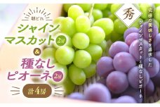 【先行予約2025年】シャインマスカット 種なし ピオーネ セット ４房 シャインマスカットとピオーネセット 先行予約 先行 予約 山梨県産 産地直送 フルーツ 果物 くだもの ぶどう ブドウ 葡萄 シャイン シャインマスカット 新鮮 人気 おすすめ 国産 贈答 ギフト お取り寄せ 山梨 甲斐市 令和7年発送分 AV-24