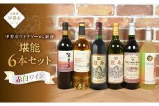 甲斐市ワインワイナリー堪能６本セット 山梨県 甲斐市 AD-252