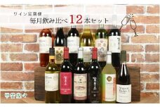 甲斐市産ワイン　赤白計12本定期便（AD-255）