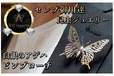 アゲハ蝶ピンブローチ　シルバーカラー　All insects　【セレブ御用達】【世界50個限定】今、世界中から熱視線を浴びている幻の昆虫アートジュエリー
