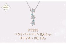 Pt999 プラチナ パライバトルマリン プラチナ ネックレス ジュエリー アクセサリー 人気 おすすめ レディース パライバトルマリン0.06ct ダイヤモンド ダイヤ0.19ct カラット  山梨県 甲斐市 AQ-205 SJ-515
