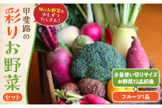 旬のお野菜を少しずつたくさん！甲斐路の彩りお野菜セット 人気 野菜 詰合せ 詰め合わせ セット 新鮮野菜 詰め合わせセット 野菜セット 季節の野菜 山梨県 甲斐市 CC-4