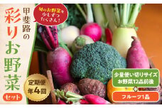 【定期便・年4回】旬のお野菜を少しずつたくさん！甲斐路の彩りお野菜セット 人気 野菜 詰合せ 詰め合わせ セット 新鮮野菜 詰め合わせセット 野菜セット 季節の野菜 山梨県 甲斐市 CC-3