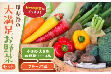 旬のお野菜がどっさり！甲斐路の大満足お野菜セット 人気 野菜 詰合せ 詰め合わせ セット 新鮮野菜 詰め合わせセット 野菜セット 季節の野菜 山梨県 甲斐市 CC-7
