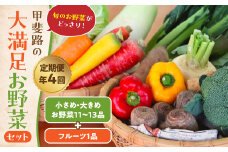 【定期便・年4回】旬のお野菜がどっさり！甲斐路の大満足お野菜セット 人気 野菜 詰合せ 詰め合わせ セット 新鮮野菜 詰め合わせセット 野菜セット 季節の野菜 山梨県 甲斐市 CC-6