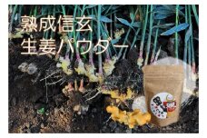 熟成信玄生姜パウダー