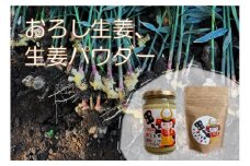おろし生姜、生姜パウダー