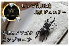 クワガタピンブローチ　ブラックカラー　All insects　【セレブ御用達】【世界30個限定】【仕事運UP】今、世界中から熱視線を浴びている幻の昆虫アートジュエリー