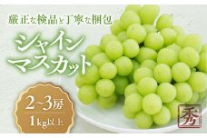 【2025年発送分】 こだわり シャインマスカット 2～3房 1kg以上 先行予約 先行 予約 山梨県産 産地直送 フルーツ 果物 くだもの ぶどう ブドウ 葡萄 シャイン シャインマスカット 新鮮 人気 おすすめ 国産 贈答 ギフト お取り寄せ 甘い 皮ごと 山梨 甲斐市 CD-1