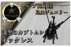 カブトムシネックレス　ブラックカラー　All insects　【セレブ御用達】【世界30個限定】【運気UP】今、世界中から熱視線を浴びている幻の昆虫アートジュエリー