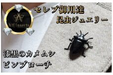 カメムシピンブローチ　ブラックカラー　All insects　【セレブ御用達】【世界30個限定】今、世界中から熱視線を浴びている幻の昆虫アートジュエリー