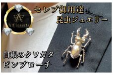 クワガタピンブローチ　シルバーカラー　All insects　【セレブ御用達】【世界50個限定】【仕事運UP】今、世界中から熱視線を浴びている幻の昆虫アートジュエリー
