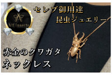 クワガタネックレス　ピンクゴールドカラー　All insects　【セレブ御用達】【世界30個限定】【仕事運UP】今、世界中から熱視線を浴びている幻の昆虫アートジュエリー】