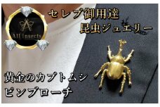 カブトムシピンブローチ　ゴールドカラー　All insects　【セレブ御用達】【世界30個限定】【運気UP】今、世界中から熱視線を浴びている幻の昆虫アートジュエリー
