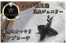 カマキリピンブローチ　ブラックカラー　All insects　【セレブ御用達】【世界30個限定】今、世界中から熱視線を浴びている幻の昆虫アートジュエリー