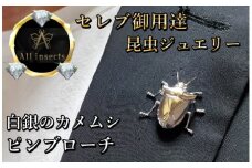 カメムシピンブローチ　シルバーカラー　All insects　【セレブ御用達】【世界50個限定】今、世界中から熱視線を浴びている幻の昆虫アートジュエリー