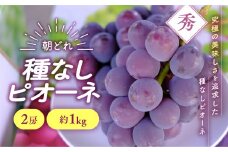 【2025年分発送】 種なし ピオーネ 2房 約1㎏ 先行予約 先行 予約 山梨県産 産地直送 フルーツ 果物 くだもの ぶどう ブドウ 葡萄 新鮮 人気 おすすめ 国産 贈答 ギフト お取り寄せ プレゼントお供え お見舞い お中元 御中元 暑中見舞い 令和7年発送分 山梨 甲斐市 AV-33