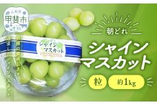 【来年（2026年/令和8年）発送＜先行予約＞】ご家庭用 訳あり シャインマスカット 粒 1㎏ 減農薬 先行予約 先行 予約 山梨県産 国産 産地直送 人気 おすすめ 贈答 ギフト お取り寄せ フルーツ 果物 くだもの ぶどう ブドウ 葡萄 シャイン シャインマスカット わけあり ワケアリ 新鮮 甘い 皮ごと 山梨 甲斐市 AV-29