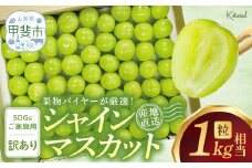【2025年発送】 粒シャインマスカット 約1.0㎏ 山梨県産 国産 産地直送 人気 おすすめ 贈答 ギフト お取り寄せ フルーツ 果物 くだもの ぶどう ブドウ 葡萄 家庭用 わけあり ワケアリ 新鮮 甘い 皮ごと 甲斐市 AD-277