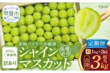 2025年発送【訳アリ】【定期便】粒シャインマスカット 約1.0㎏×3回 山梨県産 国産 産地直送 人気 おすすめ フルーツ 果物 くだもの ぶどう ブドウ 葡萄 わけあり ワケアリ 新鮮 甘い 皮ごと 山梨県 甲斐市 AD-278