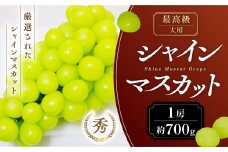 【2025年発送】 最高級 大房 シャインマスカット 1房 約700g 先行予約 先行 予約 山梨県産 産地直送 フルーツ 果物 くだもの ぶどう ブドウ 葡萄 シャイン シャインマスカット 新鮮 人気 おすすめ 国産 山梨 甲斐市 贈答 ギフト お取り寄せ 糖度18度～糖度20度 AN-127