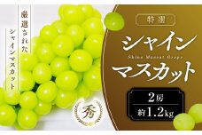【2025年発送】 特選 シャインマスカット 2房 約1.2kg 先行予約 先行 予約 山梨県産 産地直送 フルーツ 果物 くだもの ぶどう ブドウ 葡萄 シャイン シャインマスカット 新鮮 人気 おすすめ 国産 贈答 ギフト お取り寄せ 山梨 甲斐市 AN-129