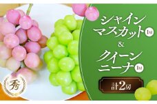 【2025年発送】 計2房 シャインマスカット1房 クイーンニーナ1房 セット 先行予約 先行 予約 山梨県産 産地直送 フルーツ 果物 くだもの ぶどう ブドウ 葡萄 シャイン シャインマスカット クイーンニーナ 新鮮 人気 おすすめ 国産 贈答 ギフト お取り寄せ AN-132