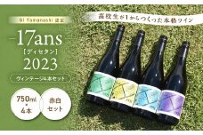 農林高校ワイン　17ans[ディセタン]2023　ヴィンテージ4本セット　高校生ワイン　赤ワイン　白ワイン　チャレンジ　企画　飲み比べ　農林ワイン　高校生　甲斐市（AD-293）