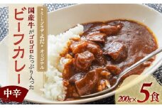 ミートプラザよだ オリジナルレトルトカレー 200g×5食 計1kg 中辛 カレー ビーフカレー 常温 国産 国産牛 肉 牛肉 レトルト 山梨県 甲斐市 Y-28　