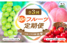 【2025年分発送】旬のフルーツ定期便（3種）定期便 定期 フルーツ定期便 くだもの定期便 先行予約 先行 予約 山梨県産 産地直送 フルーツ 果物 くだもの ぶどう ブドウ 葡萄 シャイン シャインマスカット 桃 モモ さくらんぼ 新鮮 人気 おすすめ 国産 山梨 甲斐市 贈答 ギフト お取り寄せ 朝どれ AV-38