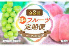 【2025年分発送】旬のフルーツ定期便（2種）定期便 定期 フルーツ定期便 くだもの定期便 先行予約 先行 予約 山梨県産 産地直送 フルーツ 果物 くだもの ぶどう ブドウ 葡萄 シャイン シャインマスカット 桃 モモ 新鮮 人気 おすすめ 国産 山梨 甲斐市 贈答 ギフト お取り寄せ 朝どれ AV-37