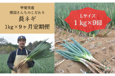 原田さんちのこだわり長ネギ　定期便　約1ｋｇ×９か月　【定期便　長ネギ　ねぎ　ネギ　野菜　やさい　新鮮　人気　山梨県　山梨　甲斐市　甲斐　農家直送　産地直送】AD-308