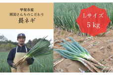 原田さんちのこだわり長ネギ　約　5ｋｇ　【長ネギ　ねぎ　ネギ　料理　野菜　やさい　新鮮　人気　山梨県　山梨　甲斐市　甲斐　農家直送　産地直送】　AD-307