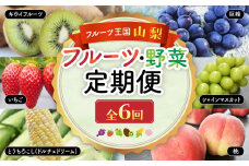 ☆先行予約☆2025年　配送地域限定　旬野菜　フルーツ　6回　定期便　【先行予約　先行　野菜　朝採れ　フルーツ　いちご　トウモロコシ　とうもろこし　ドルチェドリーム　桃　もも　巨峰　シャインマスカット　シャイン　　キウイ　ヘイワード　6回　新鮮　人気　山梨県　山梨　甲斐市　甲斐　ギフト　贈答　】AD-309