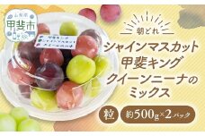 【来年（2026年/令和8年）発送＜先行予約＞】【ご家庭用つぶつぶ】ぶどう3種　約1㎏　先行予約 先行 予約 山梨県産 産地直送 フルーツ 果物 くだもの ぶどう ブドウ 葡萄 シャイン シャインマスカット 新鮮 人気 おすすめ 国産 山梨 甲斐市 AV-40