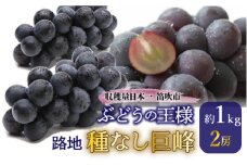 JAふえふき露地種無し巨峰2房（約1.0kg） 010-006