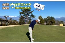 ゴルフ優待プレー補助利用券(ウッドストックカントリークラブ)5000円分　★008-001